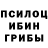 Галлюциногенные грибы Psilocybine cubensis Gazan Aliq