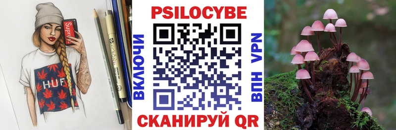 Псилоцибиновые грибы GOLDEN TEACHER Усть-Джегута